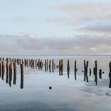 Beautiful In With Wifi Romo