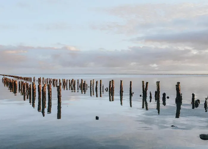 Beautiful In With Wifi Romo